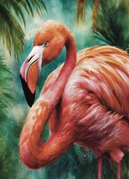 Art Prints Coral the Flamingo