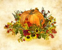 Art Prints Pumpkin and Flowers 