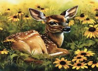 Art Prints Daisy the Fawn