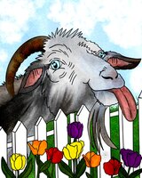 Art Prints Thistle the Goat
