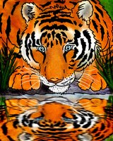 Assorted Greeting Cards Jungle Assortment Ca..