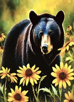 Art Prints Black Bear Among Bla..