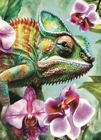 Art Prints Cam the Chameleon 