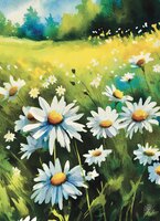 Greeting Cards Field of Dasies