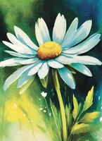 Greeting Cards Daisy