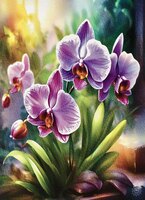 Greeting Cards Purple Orchids 