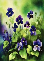 Greeting Cards Wild Violets