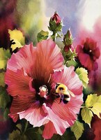 Greeting Cards Hollyhock with Bee