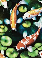 Art Prints Four Koi Fish