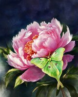 Greeting Cards Peony with Luna Moth