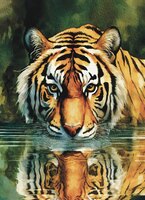 Greeting Cards Majestic Tiger
