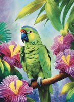 Greeting Cards Lilac Crowned Parrot