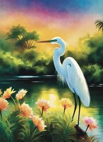 Greeting Cards Great Egret