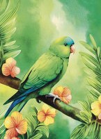 Greeting Cards Mexican Parrotlet
