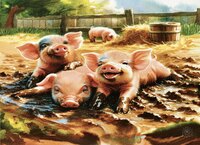 Greeting Cards Muddy Pigs