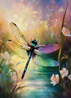 Greeting Cards Mystic Dragonfly