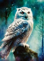Greeting Cards Snow Owl Hunting