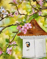 Greeting Cards Cherry Blossoms and ..