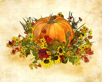Greeting Cards Pumpkin and Flowers