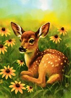 Art Prints Daisy the Fawn