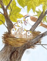 Art Prints Mom and Baby Birds