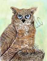 greeting-cards Oliver Owl