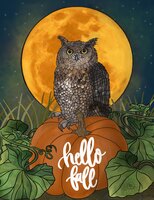 Art Prints Otto the Owl