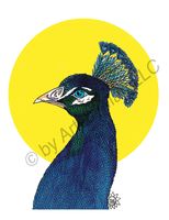 Greeting Cards Peter Peacock