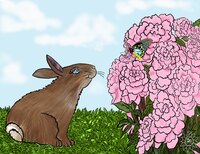 Art Prints Peyton Rabbit