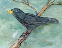 Greeting Cards Poe The Crow