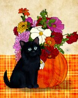 Art Prints Shadow the Kitten Ha..
