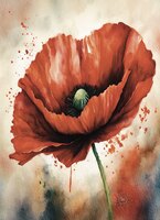 Greeting Cards Whimsical Poppy
