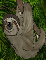 Art Prints Winifred Sloth - Han..