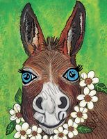 Art Prints Zoey The Donkey