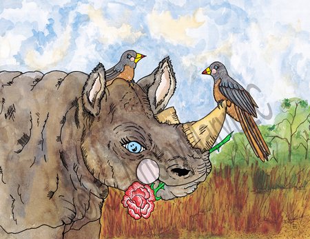 Art Prints Rosie Rhino