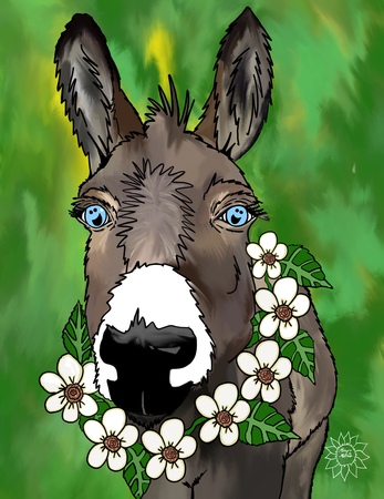 Art Prints Zoey The Donkey